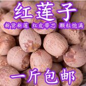 湘潭莲子干货特产无硫莲子新鲜去心带芯红莲子莲子干货净重500g