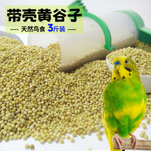 新黄谷子带壳小米虎皮牡丹3斤