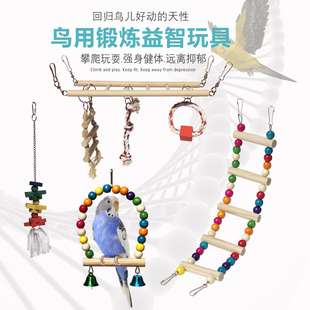 小鸟玩具鸟活体彩色珠子秋千云梯爬梯子虎皮牡丹鸟笼配件鸟用品