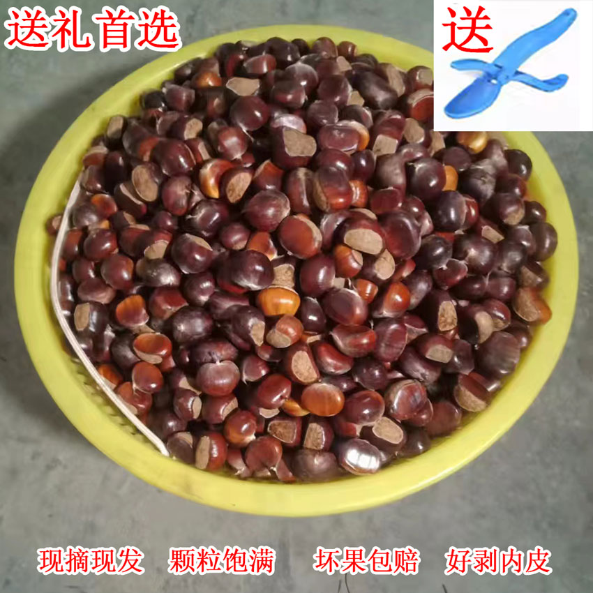 广西板栗农家自种新鲜板栗五斤