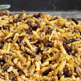 恩施瓜老蜂蛹胡蜂马蜂幼崽土地蜂儿深山宣恩油炸蚂蜂虫包邮