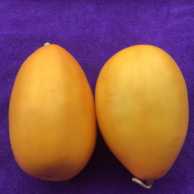 湖北头茬当季新鲜瓜恩施天美