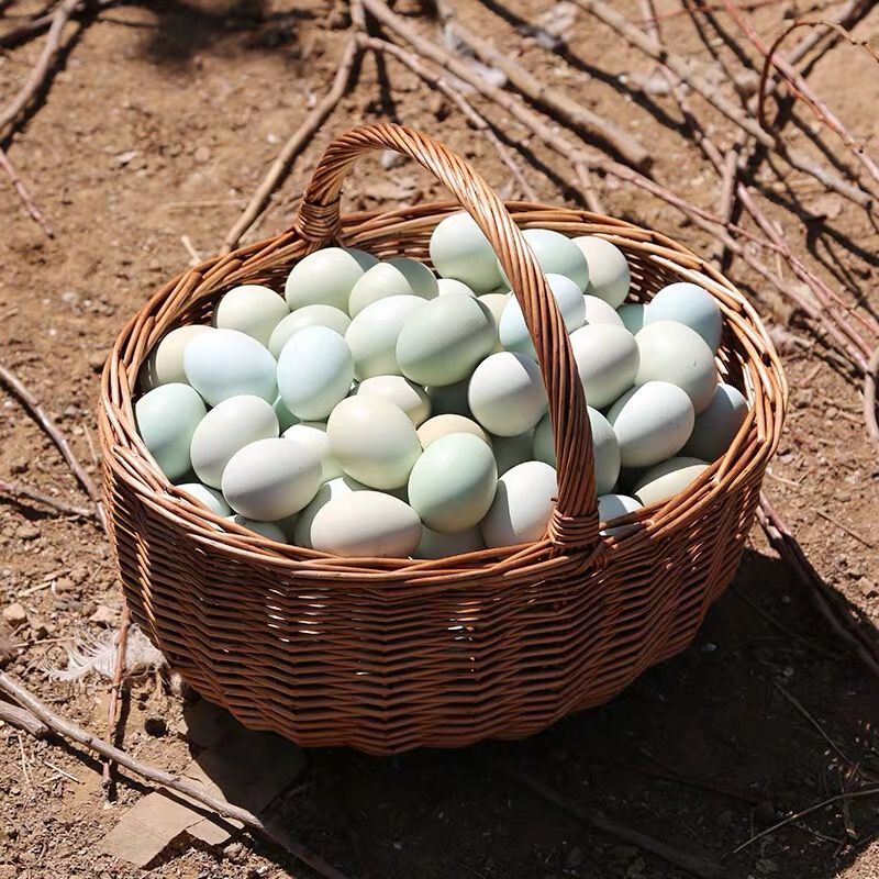 湖北恩施高山富硒 新鲜放养农家鸡蛋草柴五黑绿壳乌鸡蛋 50枚包邮