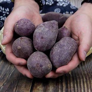 湖北恩施高紫红薯老品种糯甜红芍农家紫红苕农家自种薯 5斤包邮