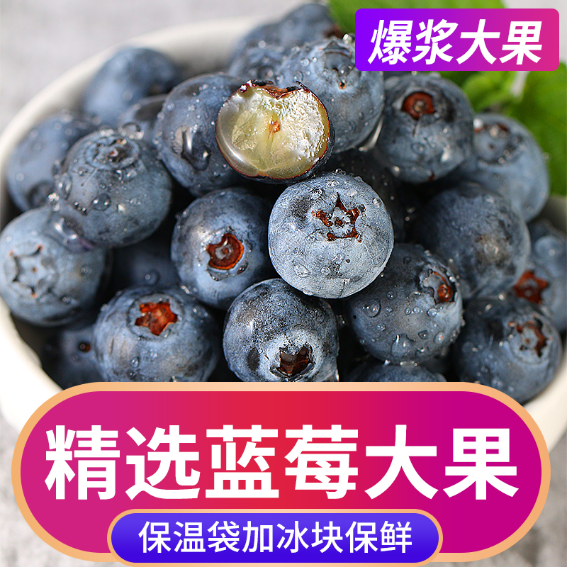 新鲜蓝莓超大果【热卖TOP商家】