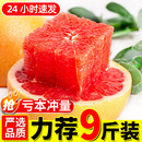 葡萄柚子蜜柚孕妇红肉整箱速发 南非进口红心西柚8斤新鲜水果当季