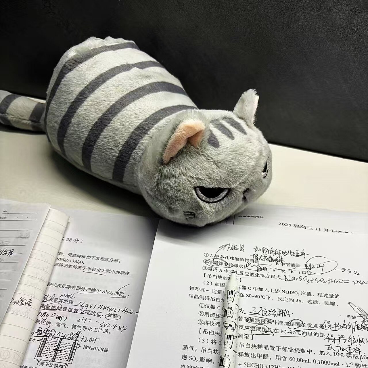 立减5元生气小灰猫大容量笔袋