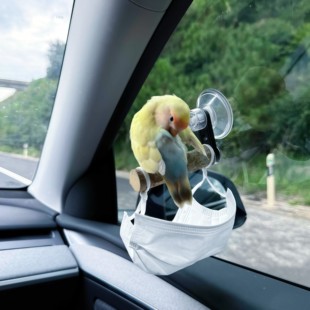 【带鸡回家过年】玄凤牡丹车载鹦鹉站架定点磨爪子不伤爪耐抓防滑