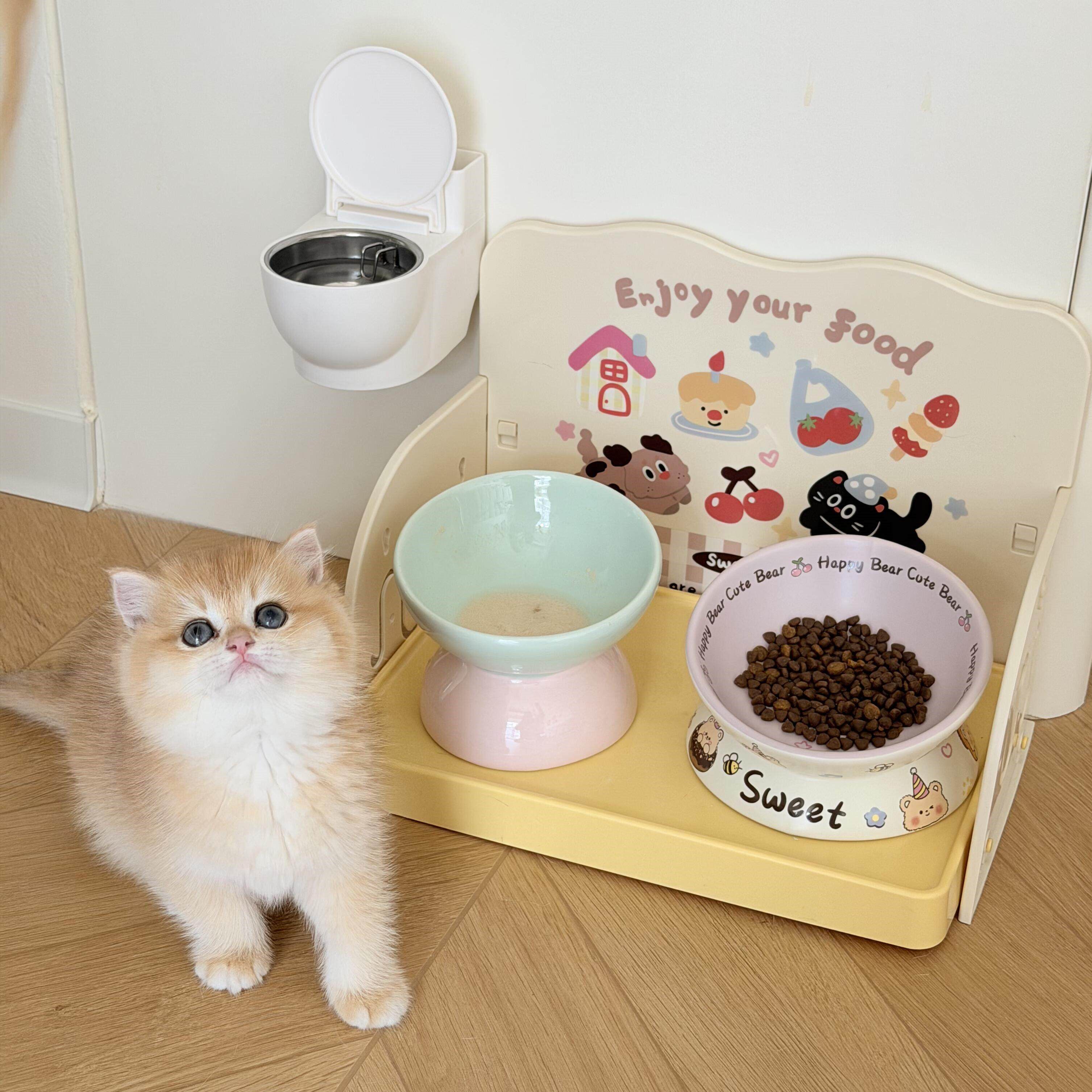 立减5元大口径猫碗防外溅增高架