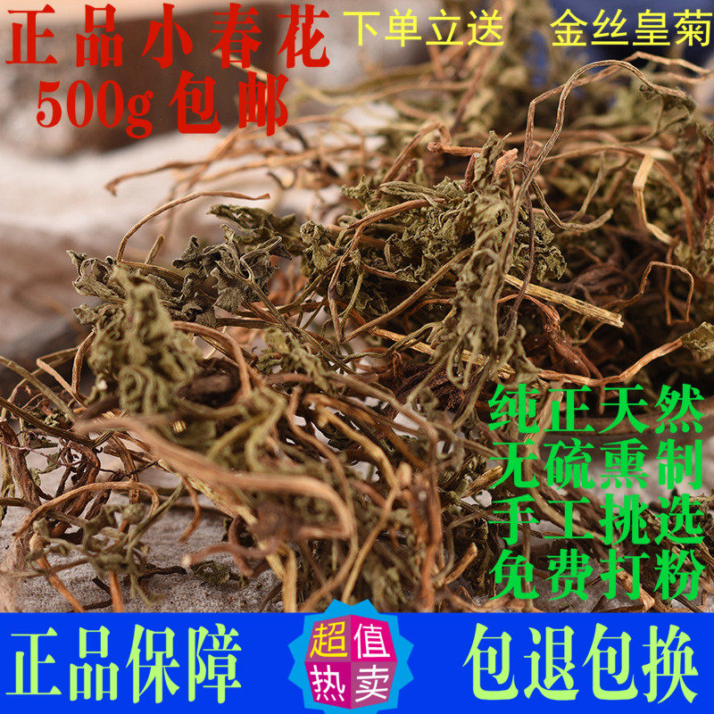 小春花一朵云正品中药材独脚金鸡图片