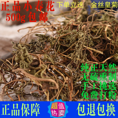 小春花一朵云正品中药材独脚金鸡