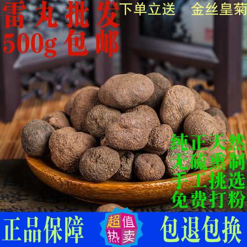 雷丸中药材雷实粉竹林子木连子