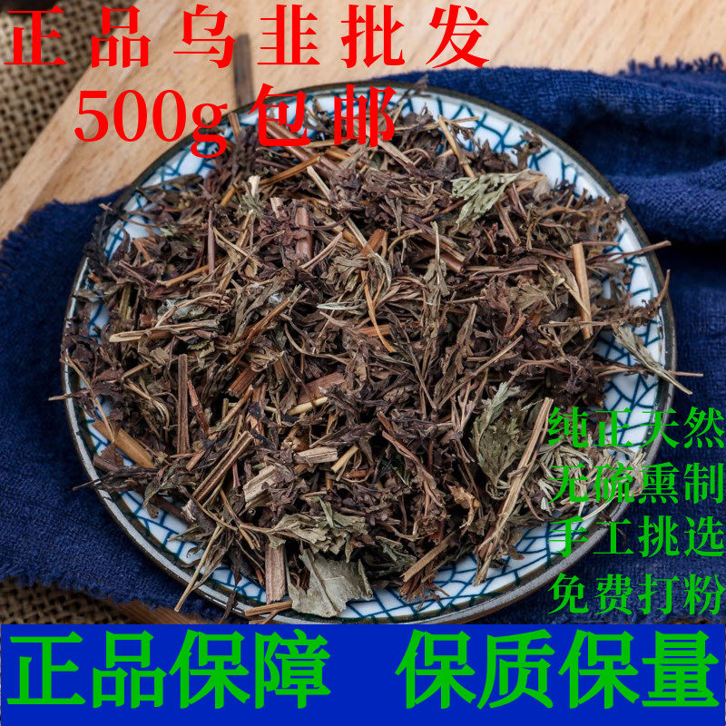 乌韭中药材乌蕨金花草野鸡尾草