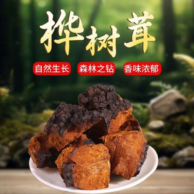 桦树茸俄罗斯进口白桦树茸粉黑金颗粒桦褐孔菌胰岛素切块一斤