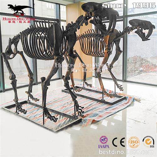 玻璃钢恐龙骨架仿真化石骨架源头工厂制造博物馆展览馆科普模型