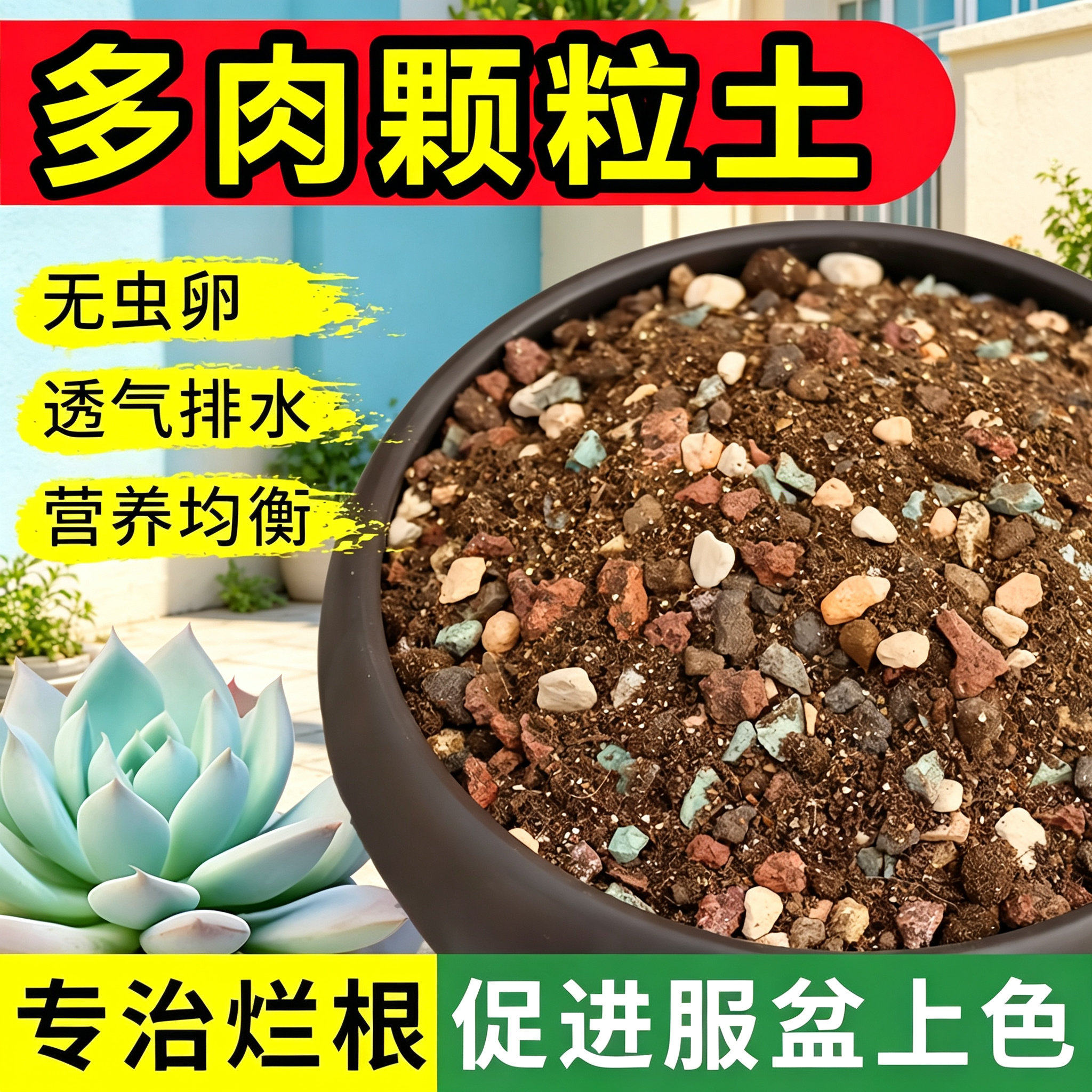 多肉植物专用颗粒营养土壤扦插仙人掌小包进口基质老桩叶插小苗