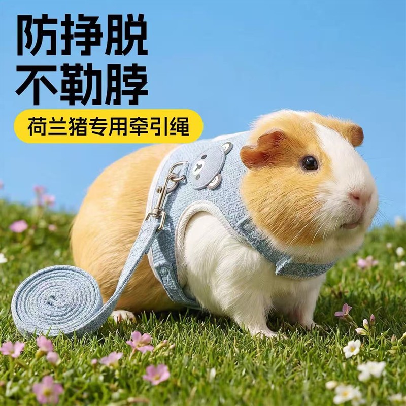 荷兰猪牵引绳豚鼠防挣脱背心式可调节仓鼠外出小宠用品大全溜兔绳