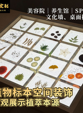 植物树脂果实标本永生花墙面摆件