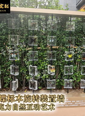 蝴蝶标本墙旋转装置亚克力标本定制树脂标本工艺品滴胶种子墙
