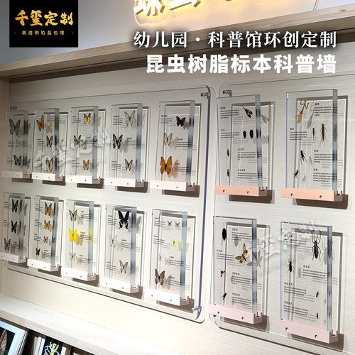 千玺树脂昆虫标本展示框定制