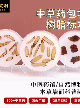 中药标本树脂包埋摆件中医药草文化展示软装墙面药材切片科普教学