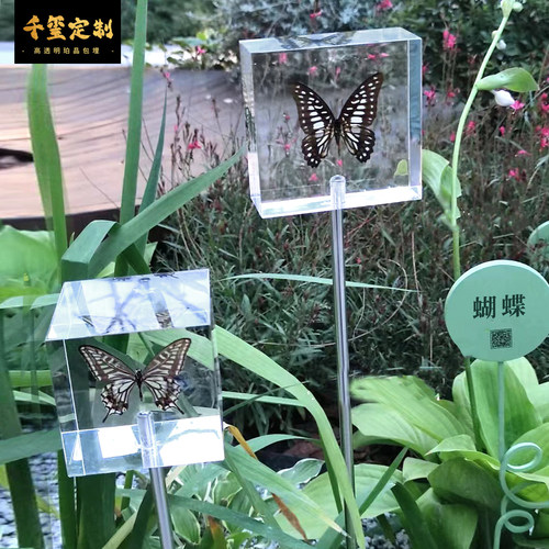 昆虫植物户外科普装置亚克力