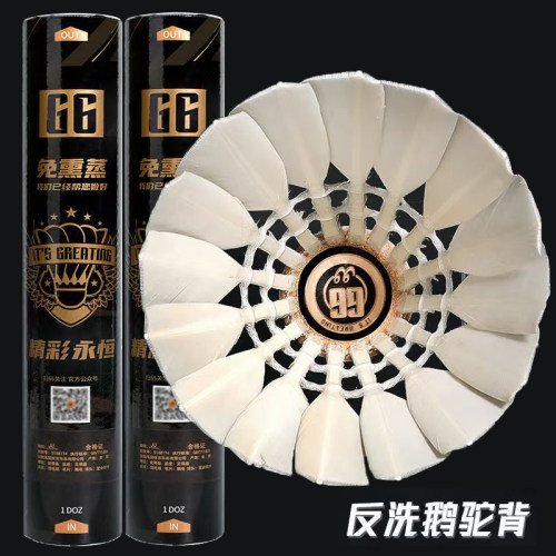 耐打羽毛球精彩永恒G6