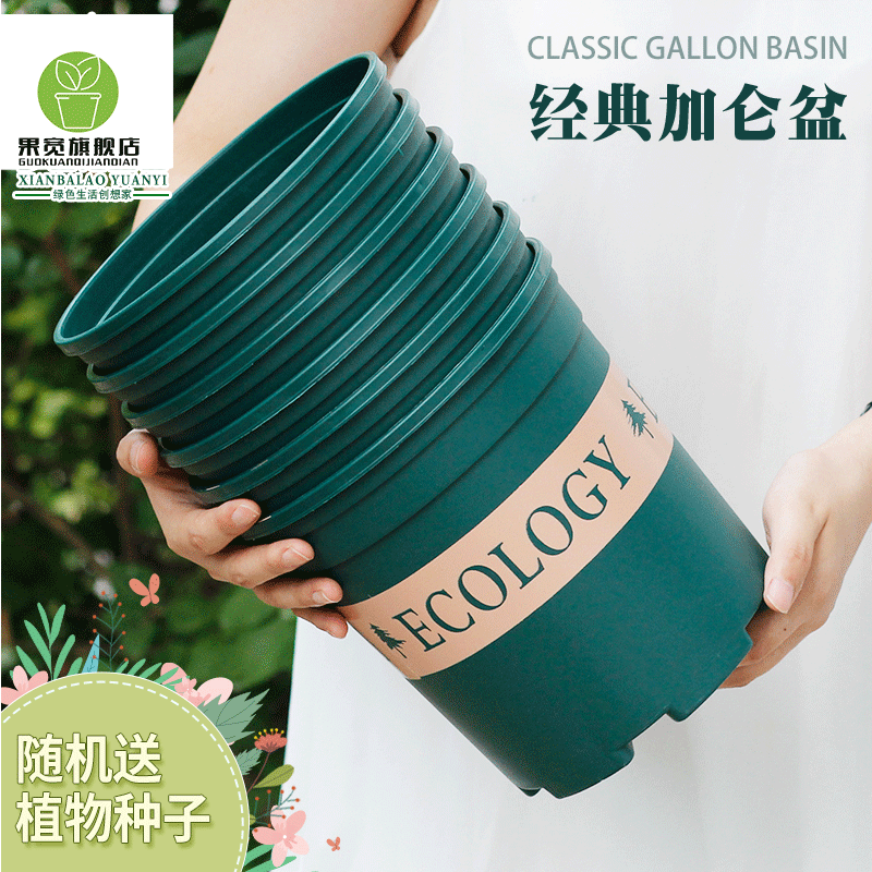 加仑盆塑料花盆草莓种植盆绿萝月季多肉盆大口径加厚树脂特价抗晒