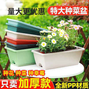 霍伦盆草莓蔬菜阳台特大专用种植盆大号长方形花盆塑料种植箱加厚