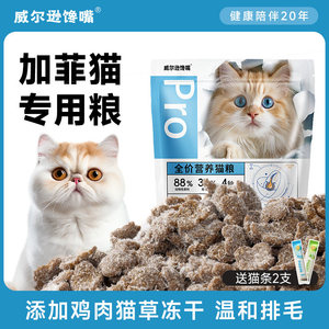 威尔逊馋嘴加菲猫专用猫