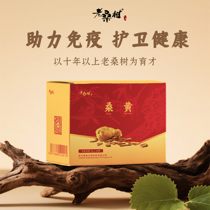 桑树桑黄农科院研发出品