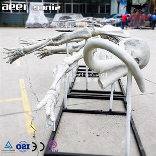 仿真恐龙化石骨架玻璃钢树脂材质博物馆科技馆研学参观展览