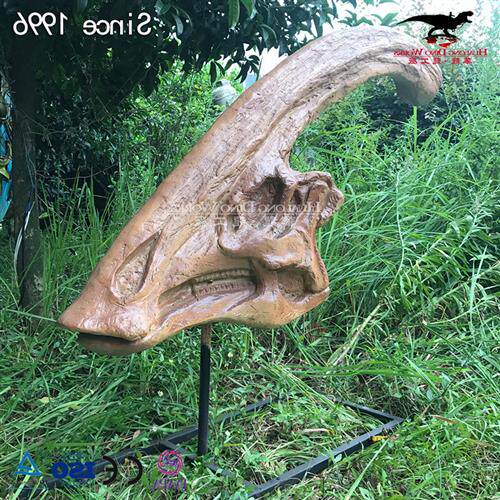 仿真副桎龙头骨化石仿真动物恐龙化石骨架厂家博物馆参观展览