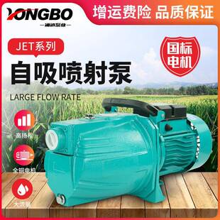喷射泵井水抽水泵增压泵吸水泵220v自吸式大流量喷射式全自动