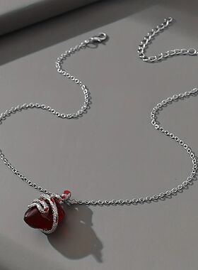 哥特暗银色黑蛇腹心脏吊坠情侣项链银色小众霸气轻奢高级闺蜜
