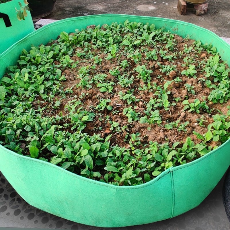 黑白种植袋美植袋 种植袋加厚无纺布植树袋植物特大花盆黑白色营