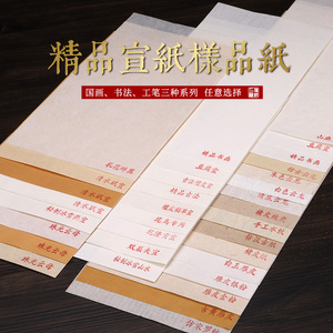 普堤斋试用纸样36款宣纸样品纸生宣熟宣半生熟书法专用纸国画工笔画小楷毛笔作品纸楮皮云龙皮纸蝉翼雁皮纸