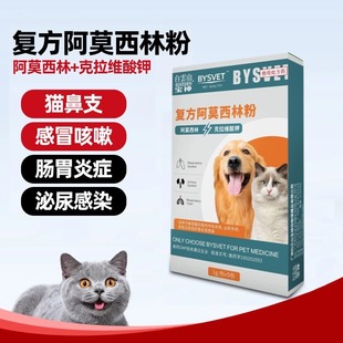 宠物犬猫通用复方阿莫西林粉消炎药克拉维酸钾粉1盒鼻支感冒咳嗽
