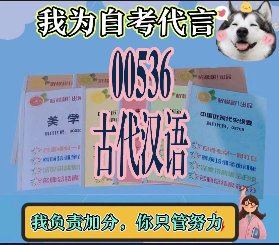 纸质版  00536古代汉语 资料自考笔记过关无需课本考点重点密训  模拟练习题  考纲考点小抄资料