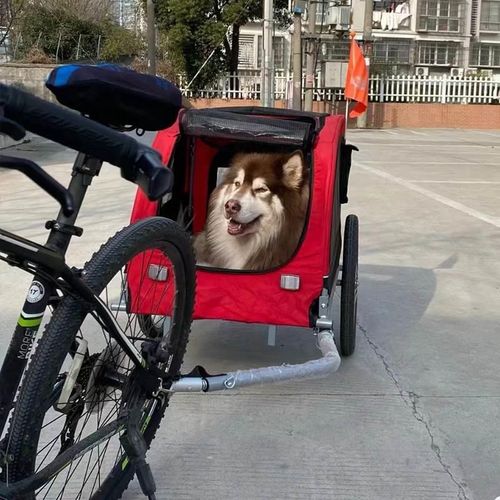 便携外出大型宠物自行车拖车猫狗狗推车户外骑行旅行拉货拖挂车