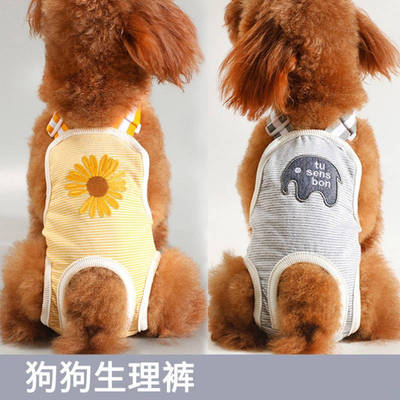 狗狗姨妈神器月经裤母防交配例假生理巾小型犬公猫期护垫尿片安全