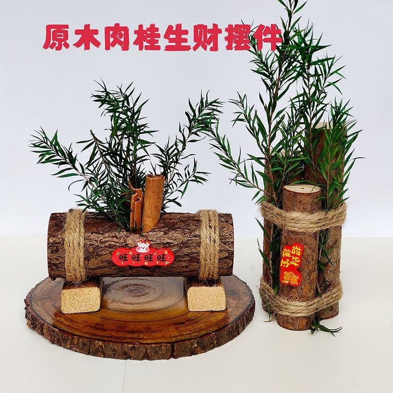 肉桂生财摆件乔迁之喜木柴搬家新居入宅仪式布置装饰用品原木材,家居饰品,桌面摆件,淘宝优惠券,粉丝福利购,淘宝优惠卷