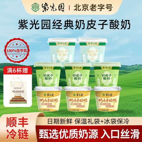 紫光园奶皮子酸奶老北京特产小吃