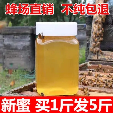 蜂蜜纯正天然农家自产结晶土蜂蜜百花蜜洋槐蜜枣花蜜500克1斤 传统滋补营养品 蜂蜜 原图主图