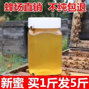 蜂蜜纯正天然农家自产结晶土蜂蜜百花蜜洋槐蜜枣花蜜500克1斤_土蜂蜜