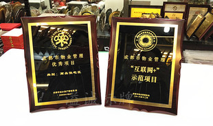 厂家定做制作授权牌金属亚克力雕刻木托奖牌荣誉会长牌比赛牌