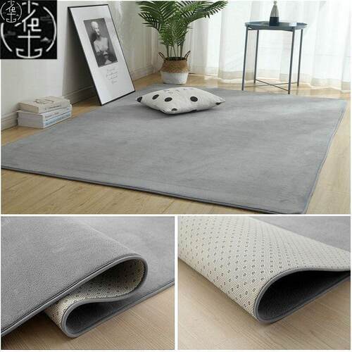 LivingRoomCarpetbedS