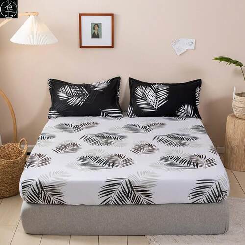 softbedhimarcovsoftbe