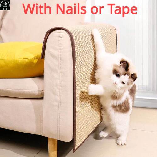 CouchCatScrefPionApp