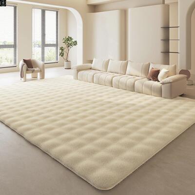 FluffyLivingRoomBedr